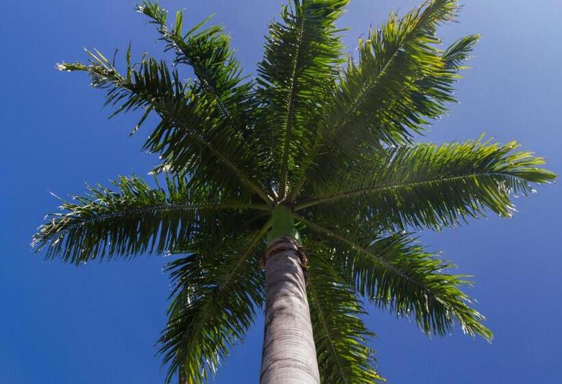 Port Douglas Plantation Resort