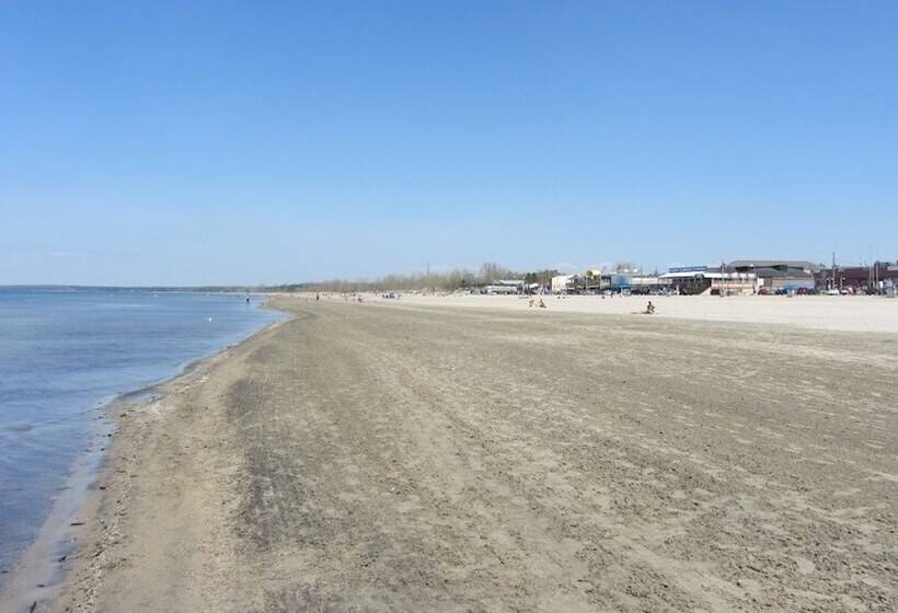 Saga Resort