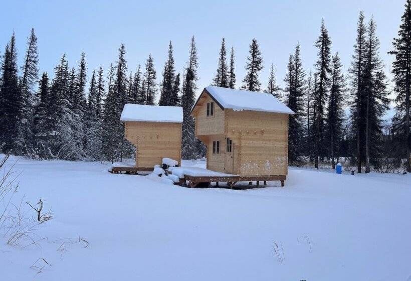 فندق Cantwell Cabins