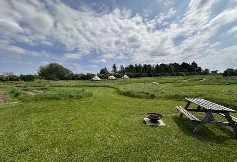 Walltree House Glamping Cozy Glamping Experience