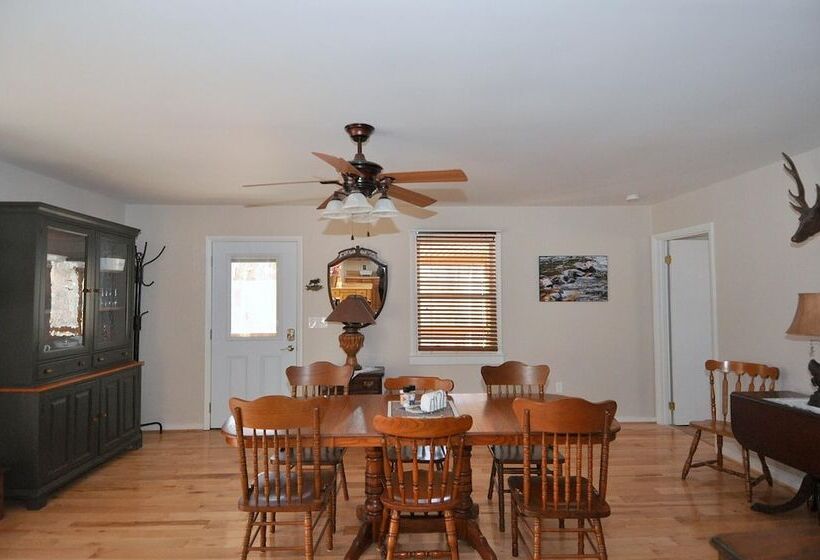 Bear Necessities  Forget Your Worries!