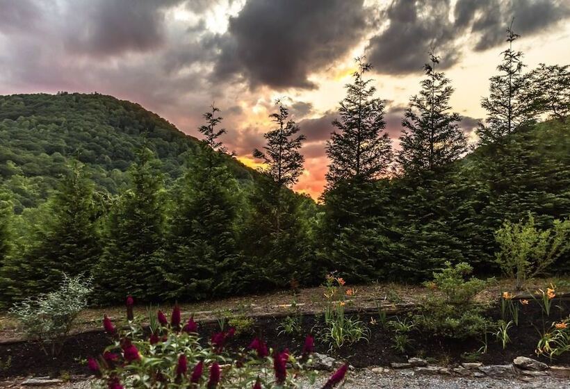 Hickory Nut Hideaway By Avantstay Mountain Views