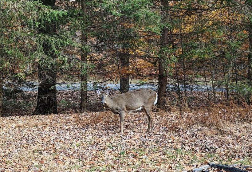 Mountain Must Have By Avantstay Indoor Hot Tub, Game Room & Fire Pit!