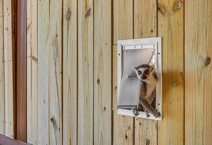 Wildlife Sanctuary On Site: Modern Webster Home!