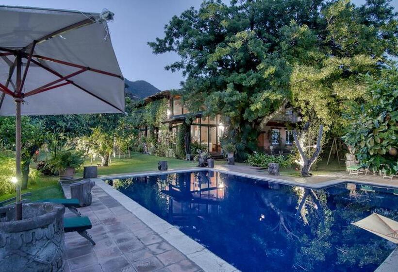 تختخواب و صبحانه Quinta Cielo   Hotel Boutique Y Restaurante