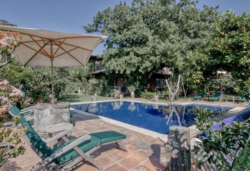 تختخواب و صبحانه Quinta Cielo   Hotel Boutique Y Restaurante