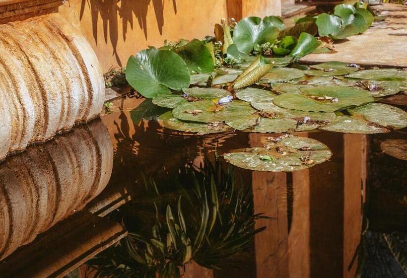 تختخواب و صبحانه Quinta Cielo   Hotel Boutique Y Restaurante