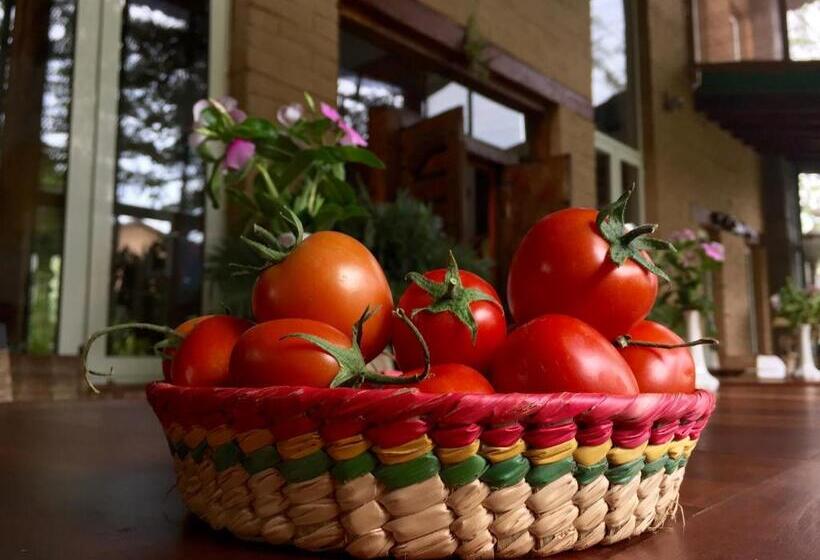 تختخواب و صبحانه Quinta Cielo   Hotel Boutique Y Restaurante