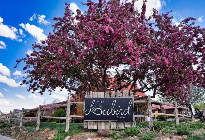 تختخواب و صبحانه The Loubird Inn