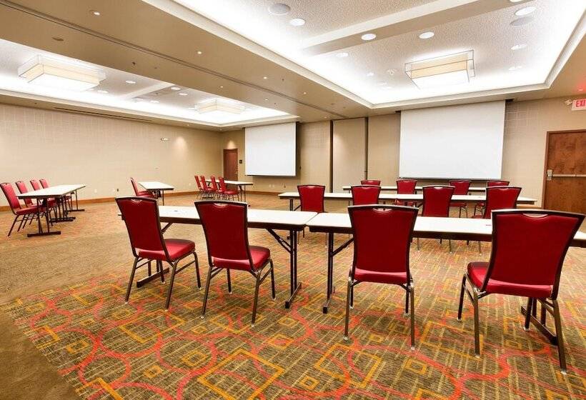 Drury Plaza Hotel Indianapolis Carmel