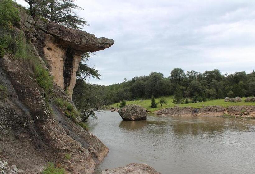 فندق Paraiso Del Oso