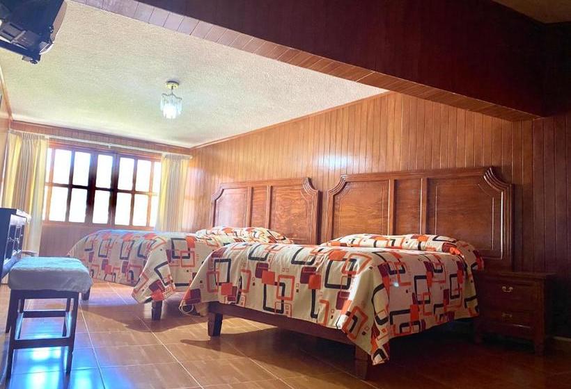 فندق Posada Castillo