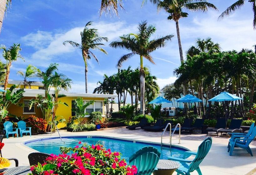 هتل Sea Turtle Inn
