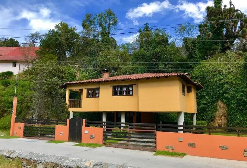 فندق Spa Holistico Real