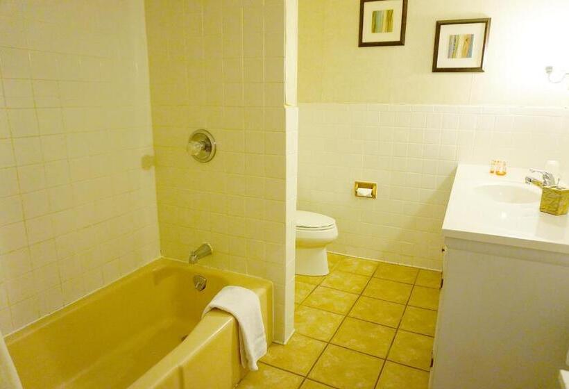 هتل Stay Saratoga