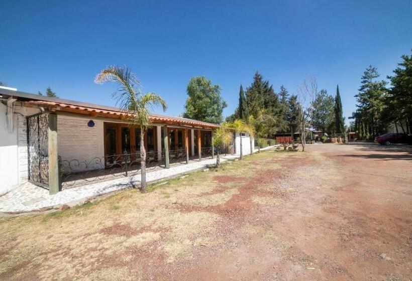 هتل Xiadani Restaurante, Temazcal & Spa