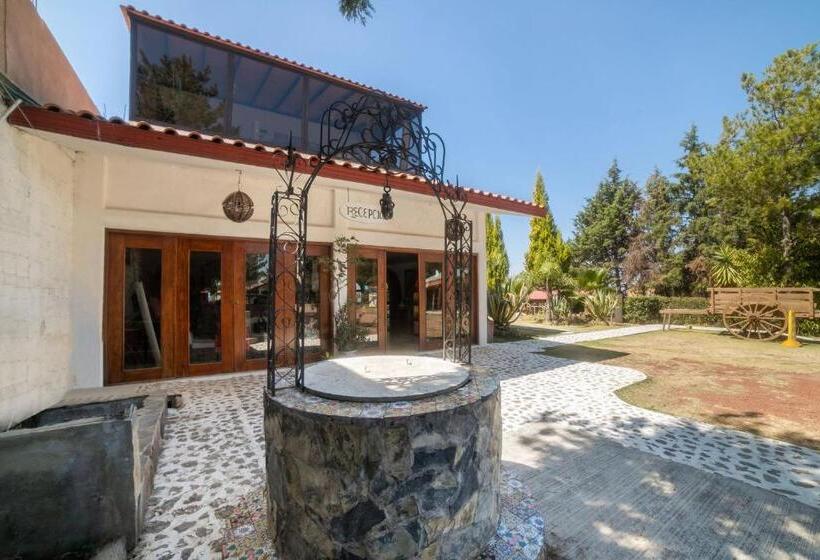 هتل Xiadani Restaurante, Temazcal & Spa