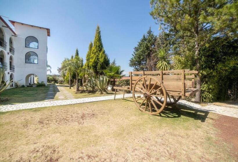 هتل Xiadani Restaurante, Temazcal & Spa
