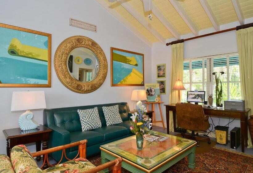 Pineapple Point Guesthouse & Resort   Gay Men S Resort