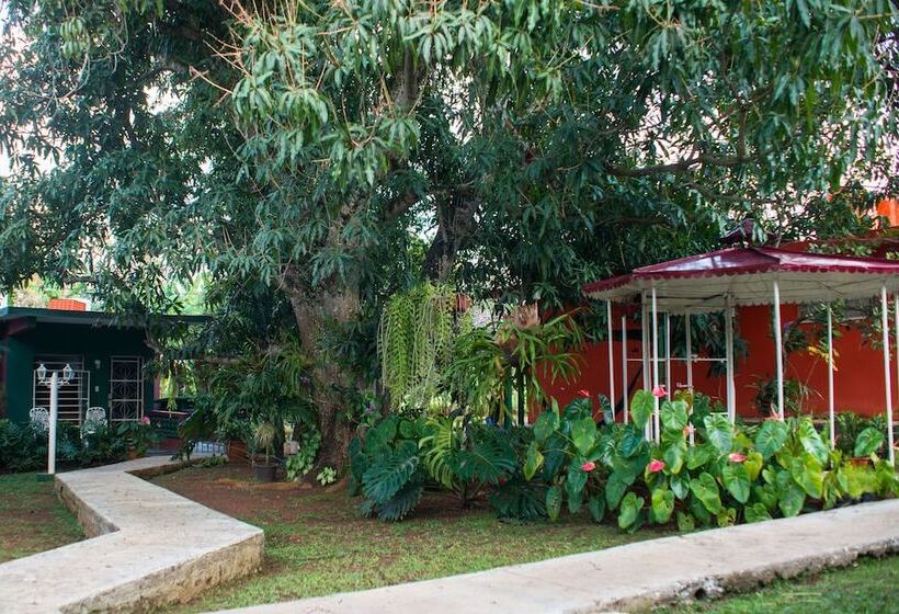 تختخواب و صبحانه Hostal Doña Amalia Cuba