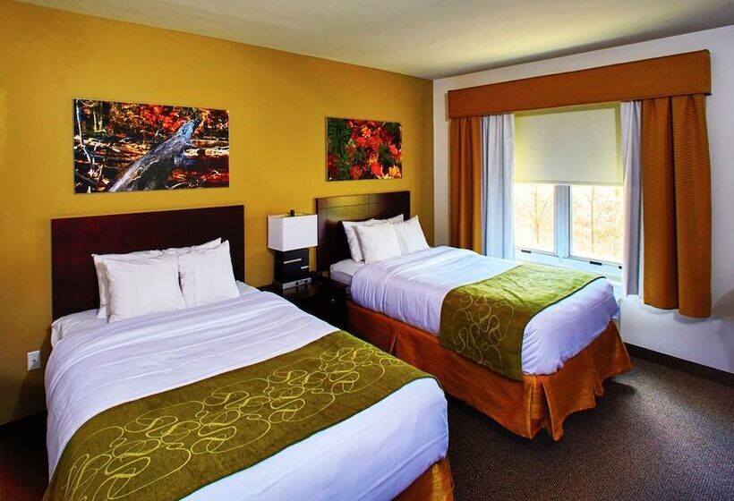 בית מלון כפרי Ornl Guest House