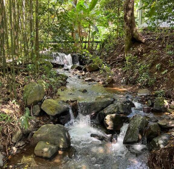هتل Leehu Coffee Farm