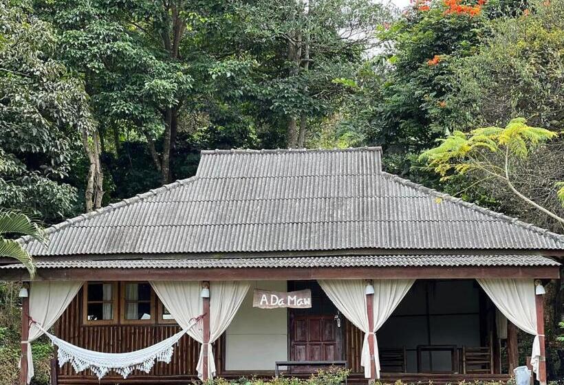 هتل Leehu Coffee Farm