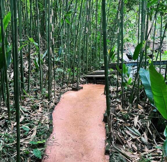 هتل Leehu Coffee Farm