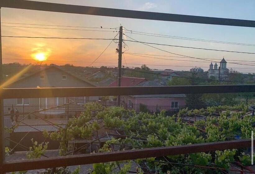 بنسيون Vila Aron