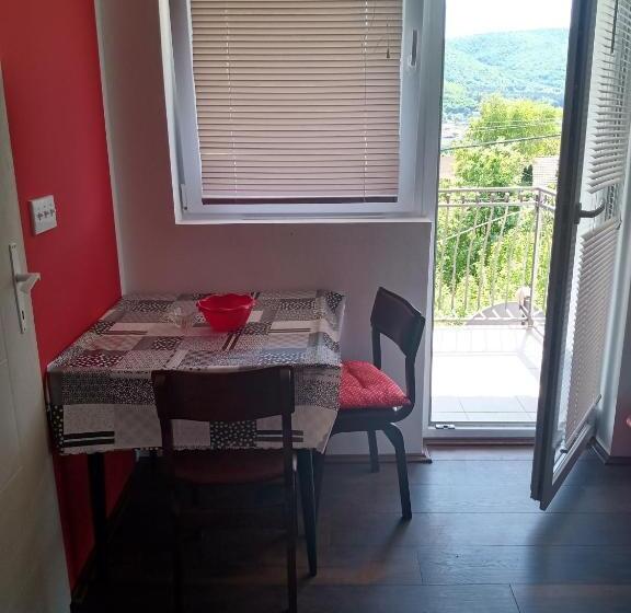 پانسیون Vila Premier Sokobanja