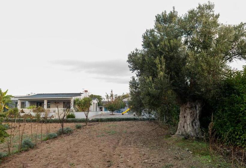 استراحتگاه Bi   Masa Culinary Farm