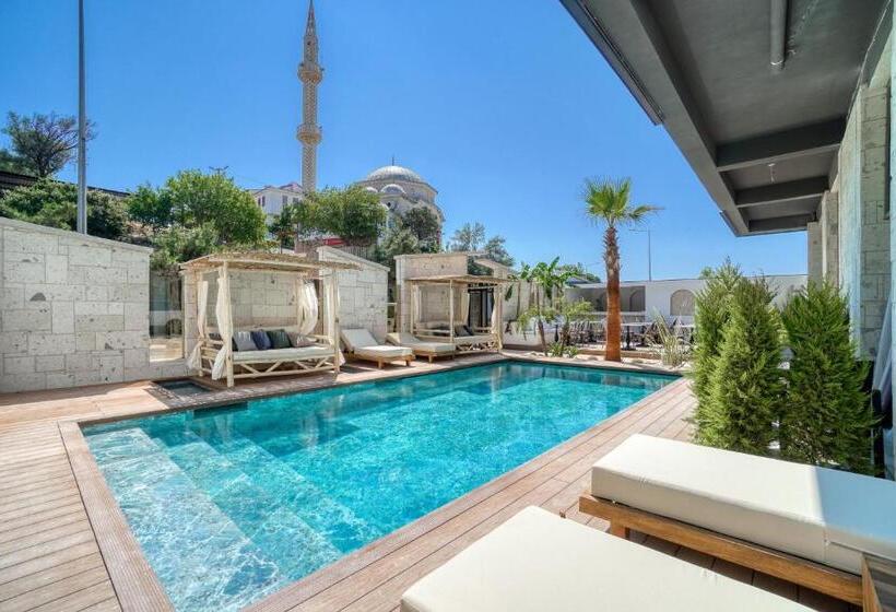 Ayayorgi Homes