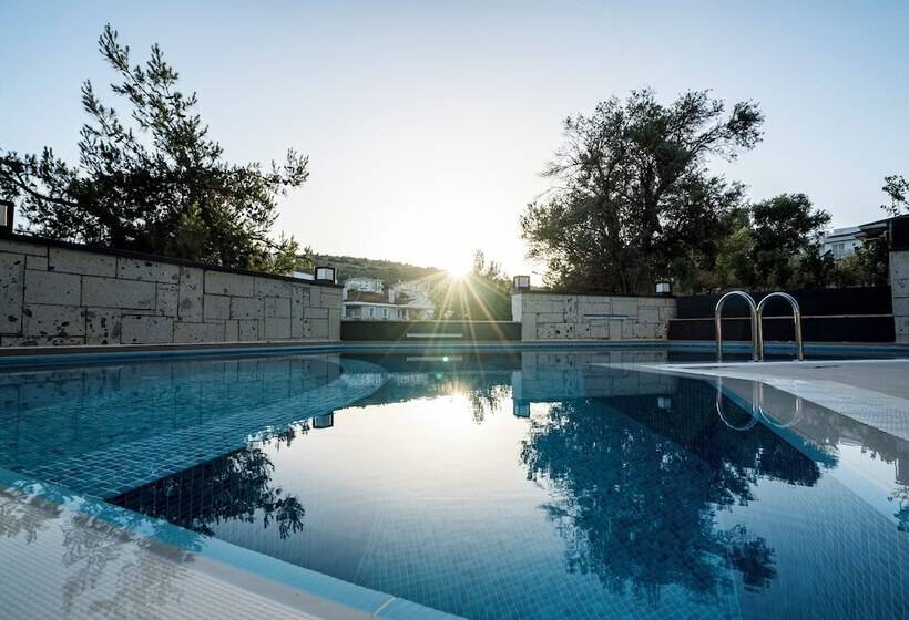 Ayayorgi Homes
