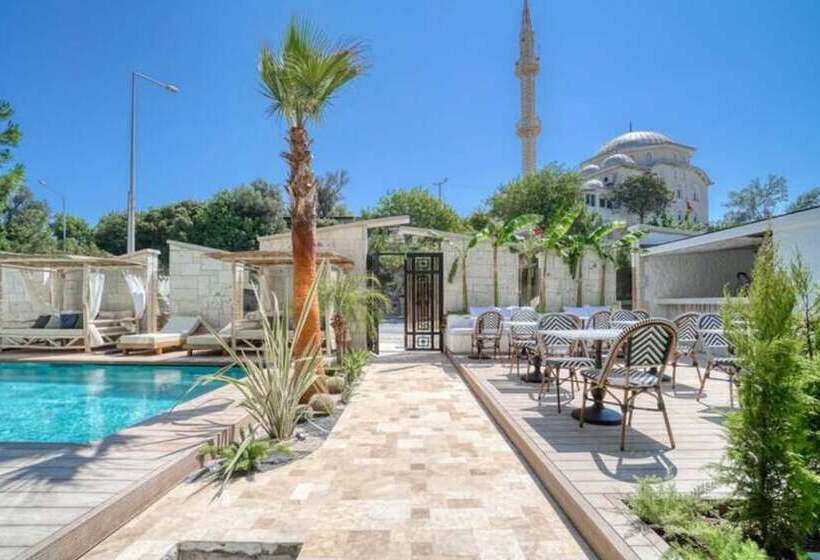 Ayayorgi Homes