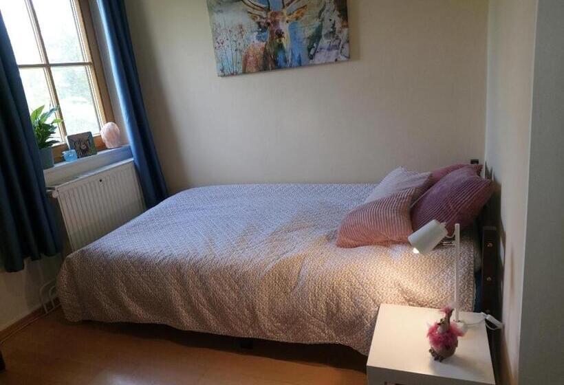 ベッドアンドブレックファースト Sometimes Zimmer Gehaichnishof 7born