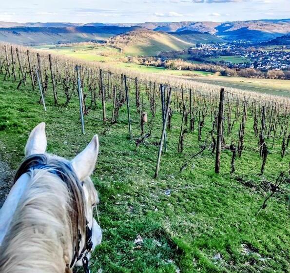 ベッドアンドブレックファースト Sometimes Zimmer Gehaichnishof 7born