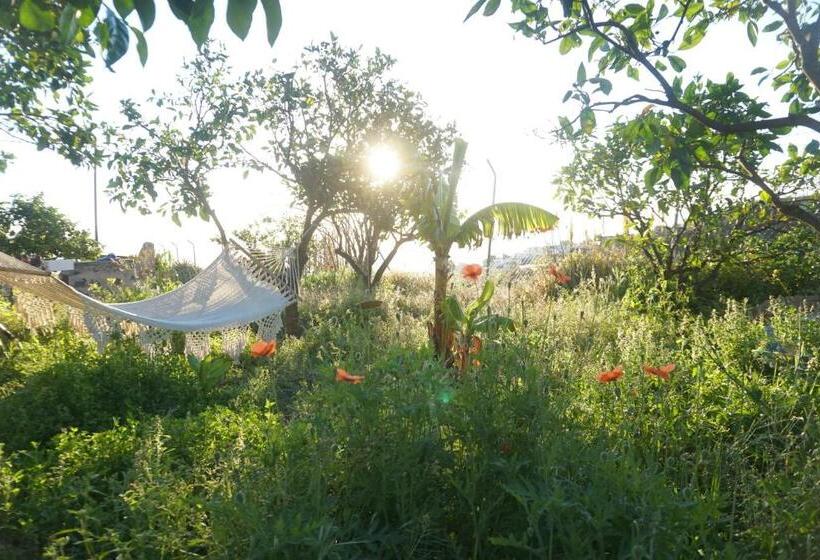 پانسیون Biofinca Casa El Riego