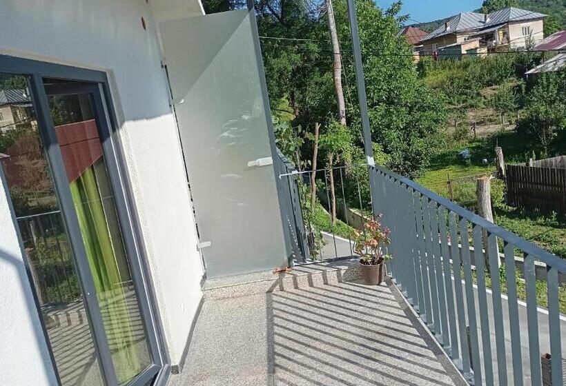 Пансион Casa Stejaru