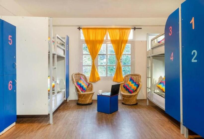 هاستل Oak Land House Manali