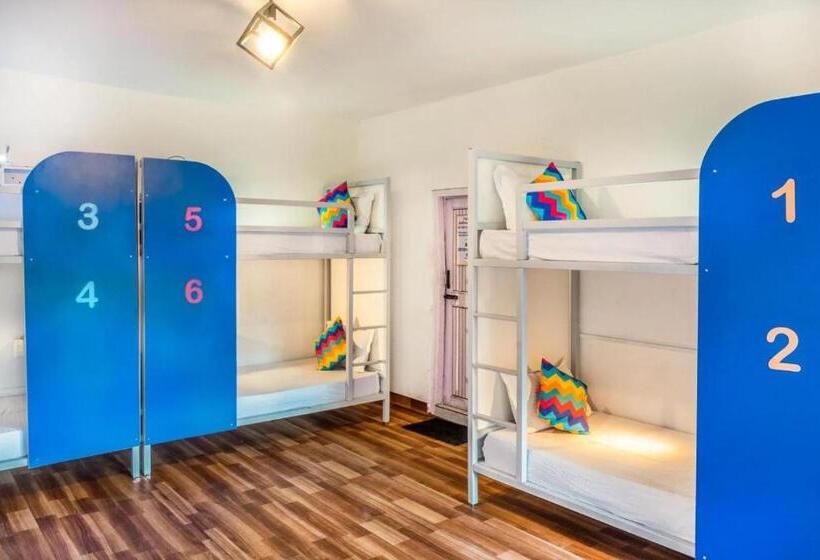 هاستل Oak Land House Manali