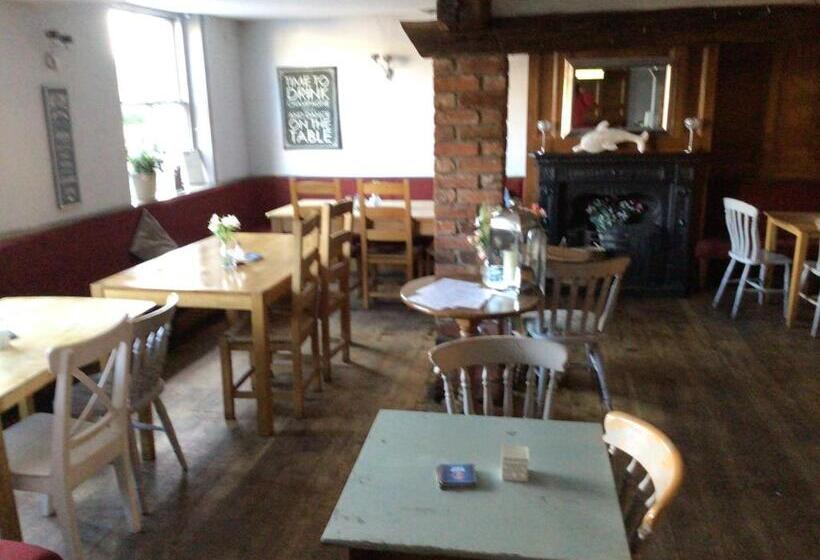 צימר Dolphin Inn