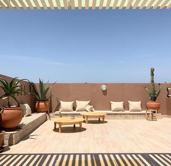 هاستل The Line Up