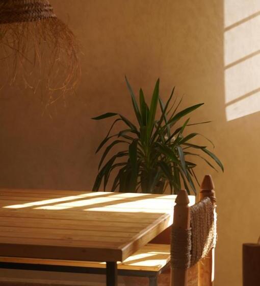 هاستل The Line Up