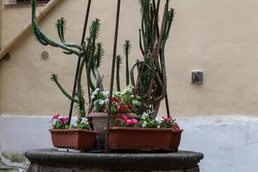 تختخواب و صبحانه Vesuvio Plaza Room
