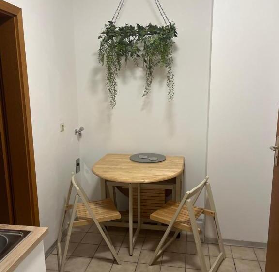 פנסיון Forest Apartment Forest Escape Menzenschwand