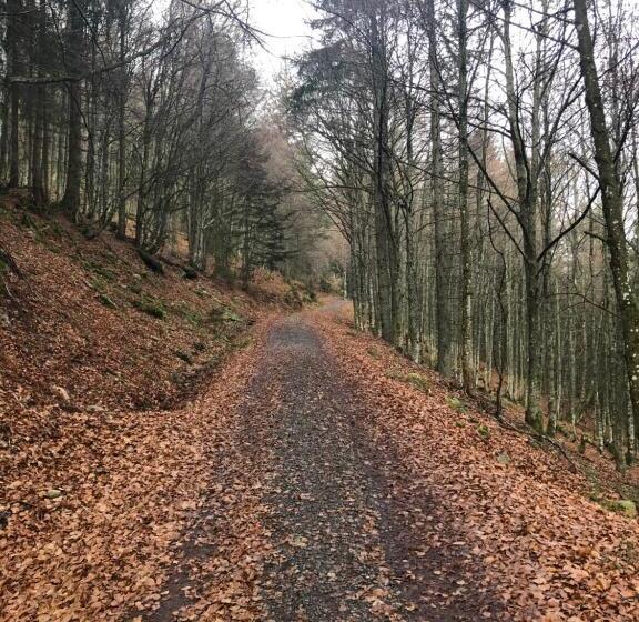 펜션 Forest Apartment Mountain Escape Menzenschwand