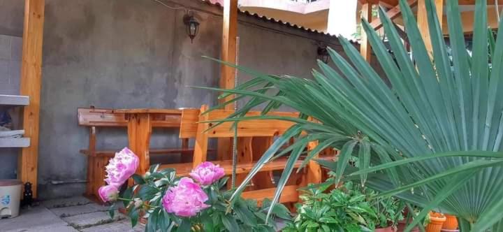 پانسیون Heidi S   Summer Villa Primorsko