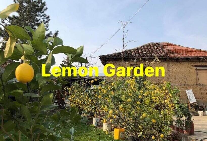 Schronisko Lemon Garden