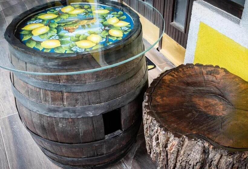 Schronisko Lemon Garden