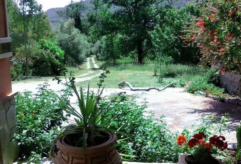تختخواب و صبحانه Antiche Macine